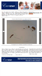 Mobile Screenshot of earstay.com